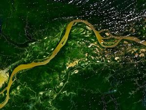 Амазонка, що тече в тропічних лісах